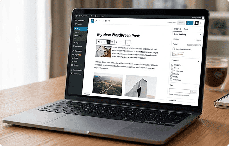 Website design illustration